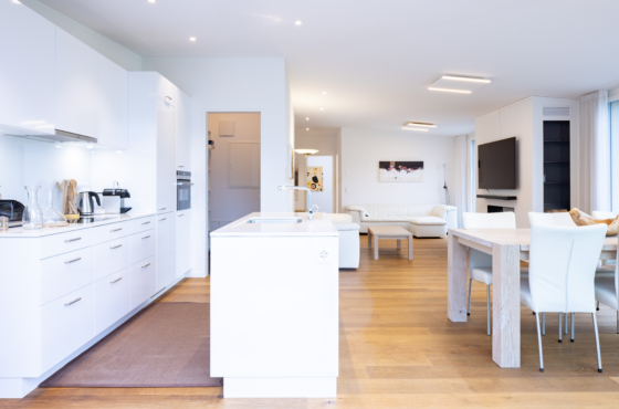 Küche mit Reduit Attikageschoss