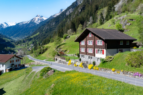 Wohnhaus Dorfstrasse 25 Gurtnellen