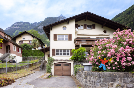 Einfahrt Garage