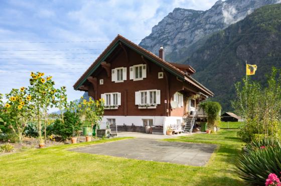 Einfamilienhaus mit Garten