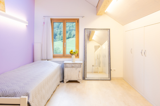 Zimmer mit Eibauschrank und Dachfenster im DG